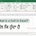 MS EXCEL CELL